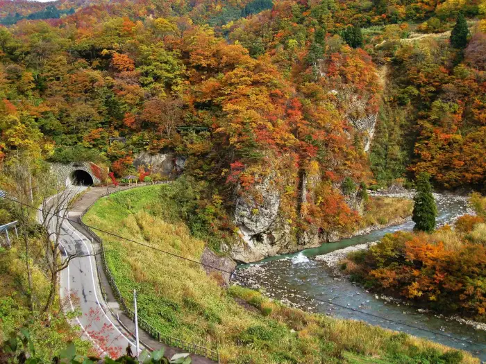 9月に日本で絶対に訪れたいスポットを10ヶ所ご紹介します。初秋の日本を一緒に旅しましょう！