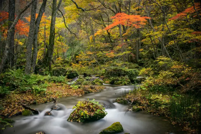 10月に日本で訪れるべきおすすめスポット10選 ― 美しい秋を一緒に満喫しましょう!