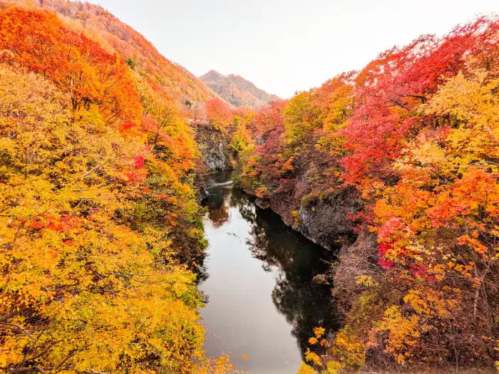 10月に日本で訪れるべきおすすめスポット10選 ― 美しい秋を一緒に満喫しましょう!