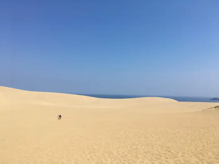 8月に訪れるべき日本のおすすめ観光スポット トップ10！日本の美しい夏の星空と絶景ビーチを体験しよう！