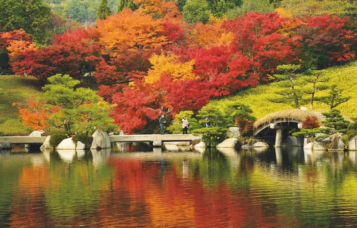 11月に訪れるべき日本の人気観光スポット トップ10:秋の終わりを過ごすのに必見のスポット。