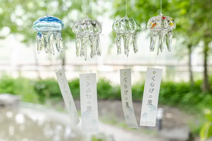 京都で最も夢のような夏の景色！約170個のクラゲの風鈴が京都水族館に集結し、期間限定イベント「クラゲと傘と風鈴」が開催されます。