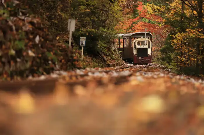 10月に日本で訪れるべきおすすめスポット10選 ― 美しい秋を一緒に満喫しましょう!