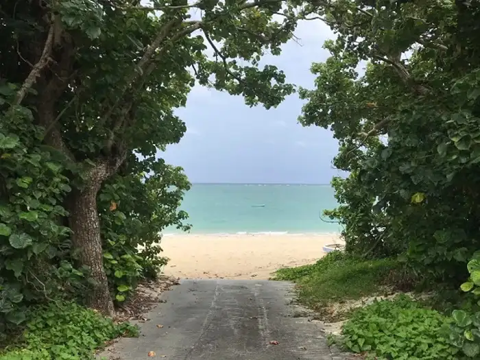 この夏、日本でウォータースポーツを楽しむならどこへ行こう？透き通った海、白い砂浜、美しい夕日、そして人里離れた無人島など、夢のようなビーチ10選をご紹介！ぜひこのリストをブックマークしてください！